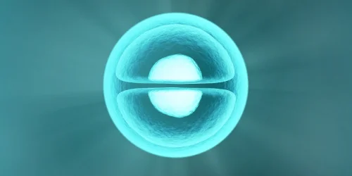 A HD imahe of Fertilization and Embryo development