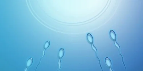 HD image of Ovary stimulation