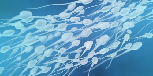 HD image of Sperm collection